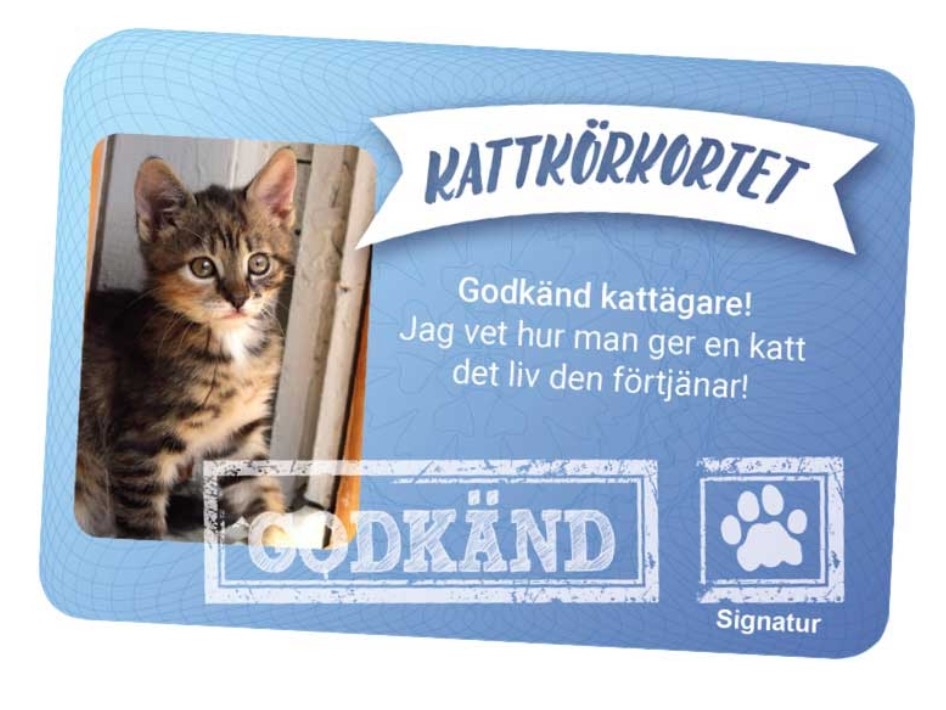 Kattkörkortet